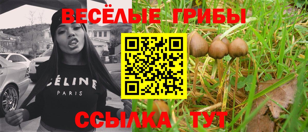 Галлюциногенные грибы MAGIC MUSHROOMS  Вход с VPN  Богданович 