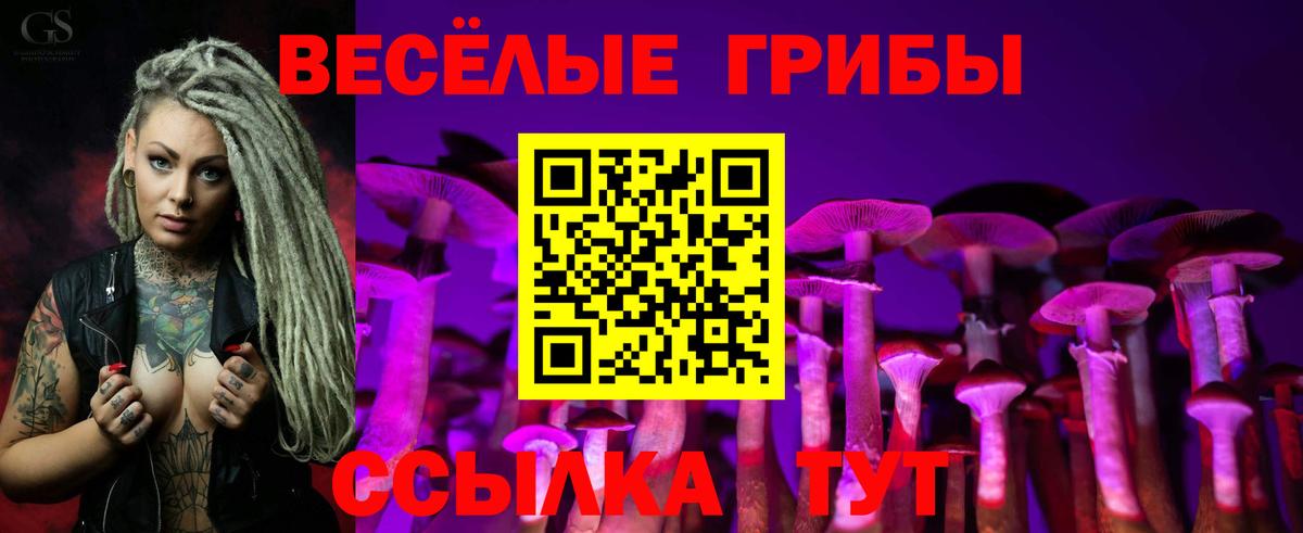 Псилоцибиновые грибы Psilocybine cubensis Богданович